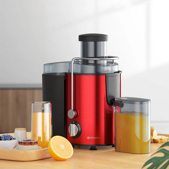 Powerful 800W Fruit & Vegetable Juicer